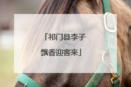 祁门县李子飘香迎客来
